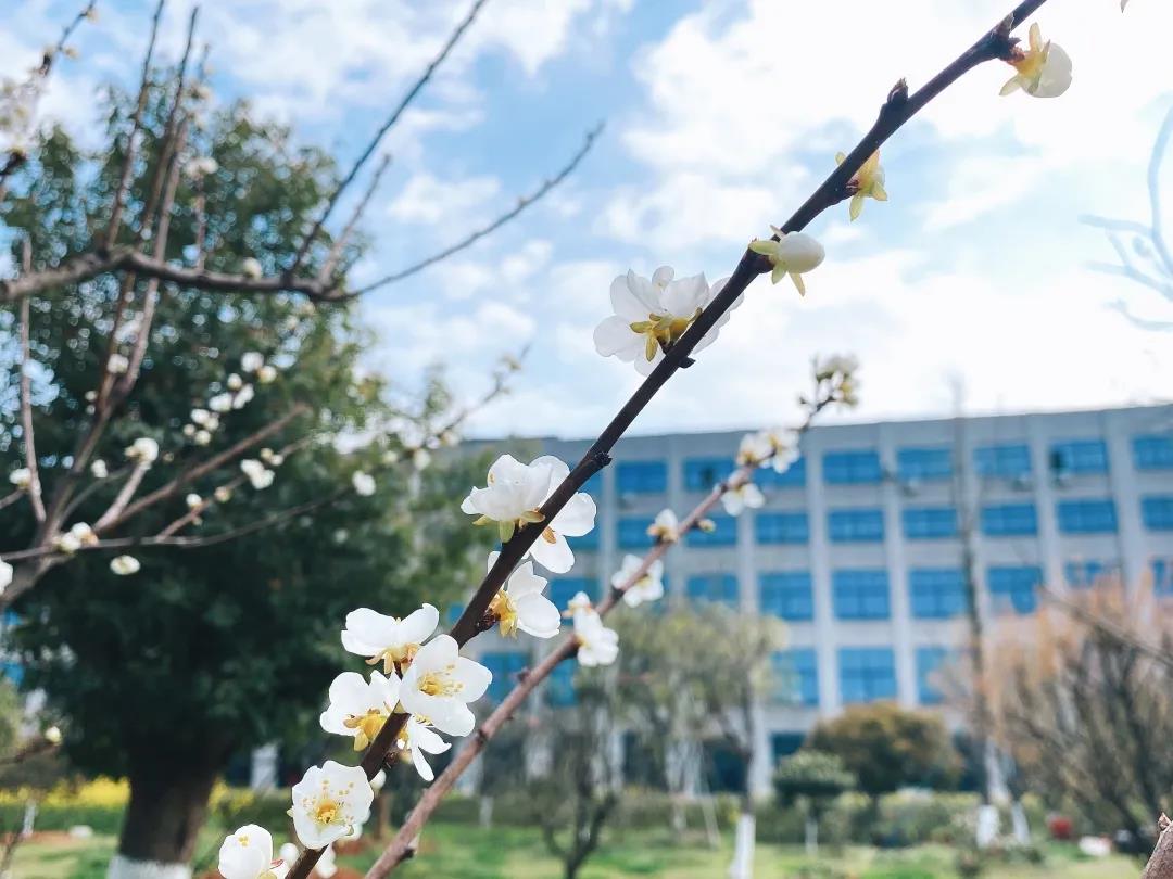 风景这边独好！东大环境美景一览，请查收